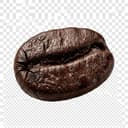 Coffee Bean