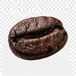 Coffee Bean